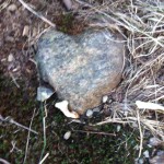 Heart-shaped rock in the moss atop Gallows Hill