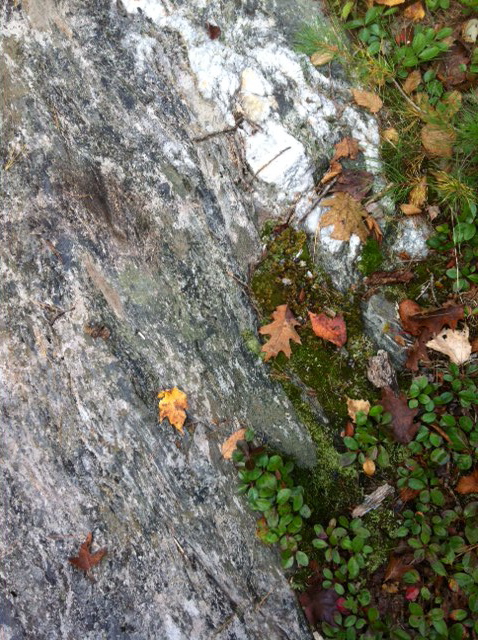 Ophiolite rock