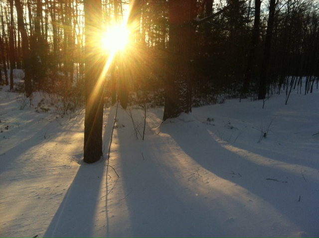 Near sunset on Feb 19th--the day I first felt huge expansion energy from the Earth.