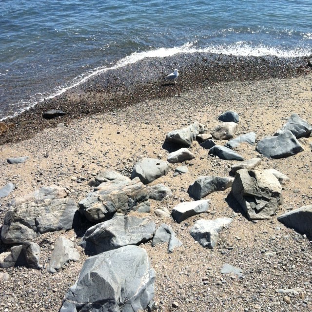 Big Harbor, Marblehead, MA
